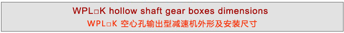 WPL系列直角型精密行星減速機